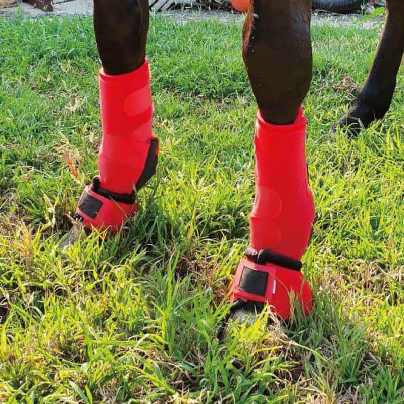 Premium Horse Leg Wraps