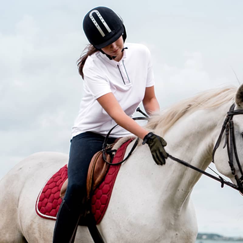 equestrian clothing manufacturer