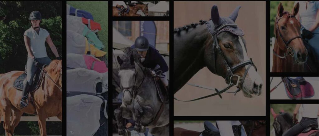 Premium equestrian products