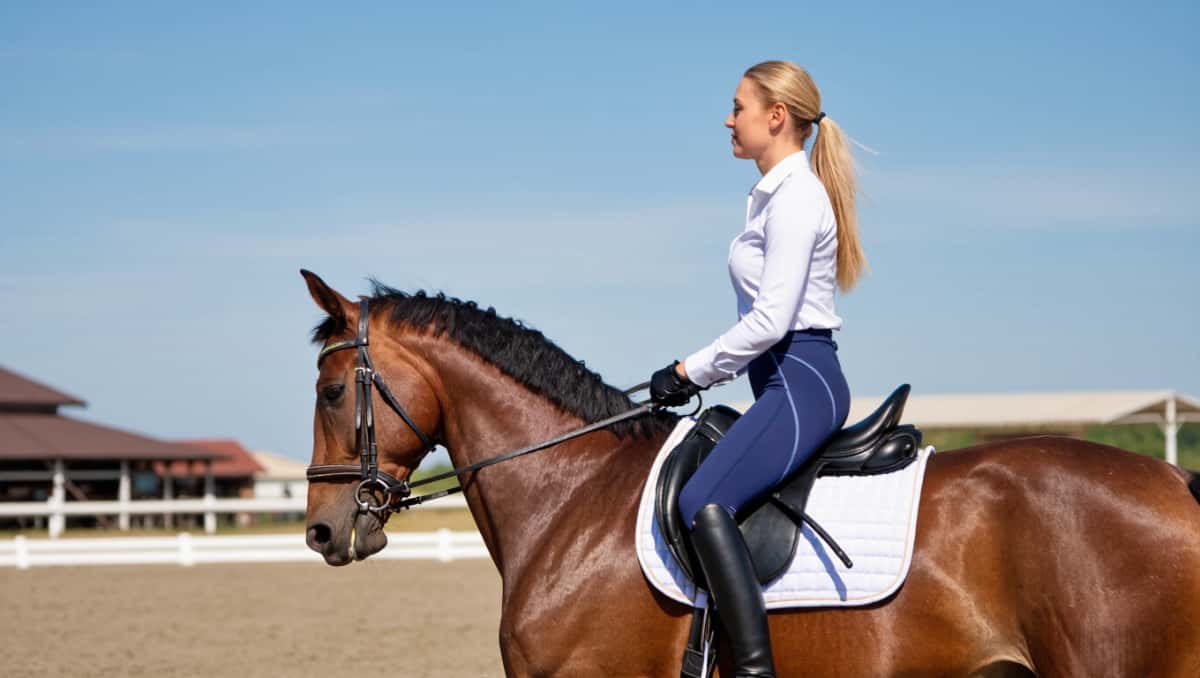 Why to sell equestrian rider apparel A rider wearing modern equestrian competition apparel